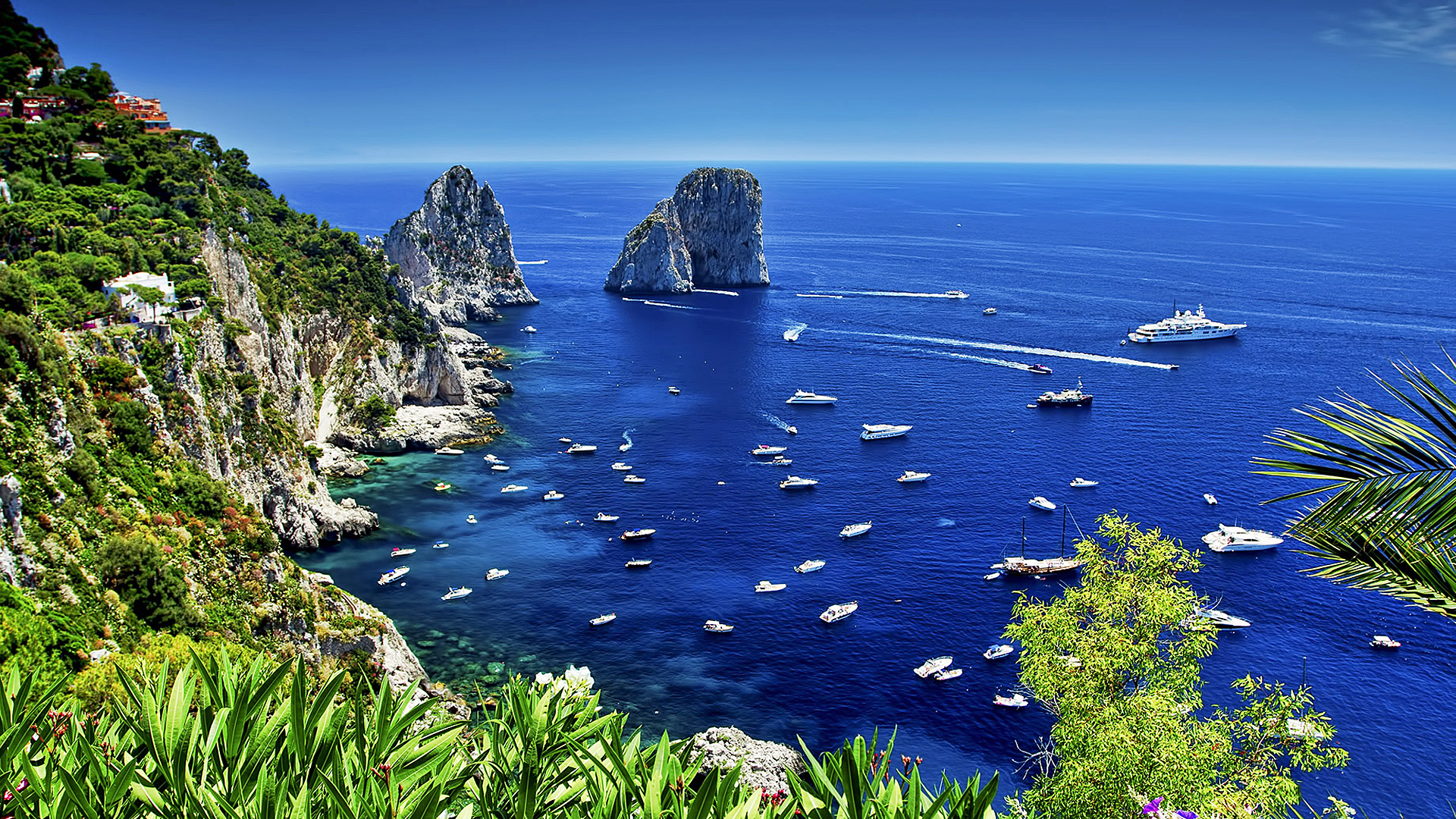 day trip to capri or ischia